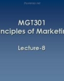 Lecture Principles of Marketing: Lesson 8