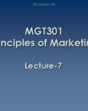 Lecture Principles of Marketing: Lesson 7