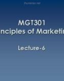 Lecture Principles of Marketing: Lesson 6