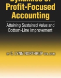 Ebook Dynamics of profit-focused accounting: Attaining sustained value and bottom-line improvement