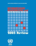 Ebook International accounting and reporting: Issues 2005 review