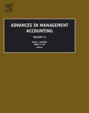 Ebook Advances in management accounting