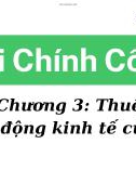 Bài giảng Tài chính công - Chương 3: Thuế và tác động kinh tế của thuế