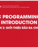 Bài giảng C Programming introduction: Tuần 3 - Giới thiệu đầu ra chuẩn