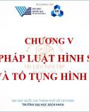 Bài giảng Pháp luật đại cương - Chương 5: Pháp luật hình sự và tố tụng hình sự