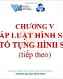 Bài giảng Pháp luật đại cương - Chương 5: Pháp luật hình sự và tố tụng hình sự (tt1)