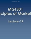 Lecture Principles of Marketing: Lesson 19