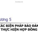 Bài giảng Luật hợp đồng: Chương 5 - ThS. Nguyễn Phan Phương Tần