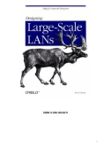 Ebook Designing Large Scale LANs