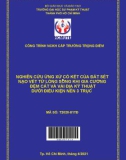 Đề tài nghiên cứu khoa học: Nghiên cứu ứng xử cố kết của đất sét nạo vét từ lòng sông khi gia cường đệm cát và vải địa kỹ thuật dưới điều kiện nén 3 trục