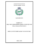 Khóa luận tốt nghiệp đại học ngành Dược học: Nghiên cứu hoạt chất Ginsenosid Rb1 trong lá sâm Việt Nam (Panax vietnamensis Ha & Grushv.)