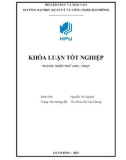 Graduation thesis: A study on group work application to improve speaking skill for first-year language majors at Hai Phong University of Management and Technology