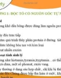 Bài giảng An toàn thực phẩm: Chương 3.3 - Độc tố hình thành trong quá trình bảo quản chế biến