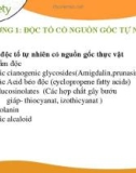 Bài giảng An toàn thực phẩm: Chương 3.2 - Các độc tố tự nhiên có nguồn gốc thực vật