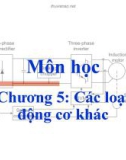 Bài giảng Cơ sở truyền động điện - Chương 5: Các loại động cơ khác