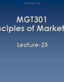 Lecture Principles of Marketing: Lesson 25