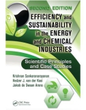 Ebook Efficiency and sustainability in the energy and chemical industries - Scientific principles and case studies (2/E): Part 1