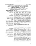 Đánh giá khả năng ứng dụng phụ gia Xanthan trong xây dựng thông qua kết quả thí nghiệm ép kéo và thí nghiệm cường độ