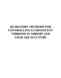 Ebook Disease control in fish and shrimp aquaculture in southeast asia - Diagnosis and husbandry techniques: Part 2