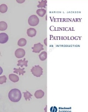 Ebook Veterinary clinical pathology - An introduction: Part 1