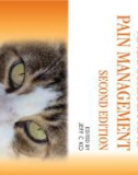 Ebook A color handbook - Small animal anesthesia and pain management (2/E): Part 1