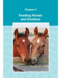 Ebook The handbook of horses and donkeys - Introduction to ownership and care: Part 2