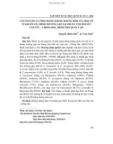 Căn nguyên và tình trạng kháng kháng sinh của một số vi khuẩn gây bệnh thường gặp tại Trung tâm Hồi sức cấp cứu - Chống độc, Bệnh viện Quân y 103