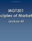 Lecture Principles of Marketing: Lesson 45