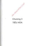 Giáo trình giảng dạy Tiếp cận chẩn đoán bệnh nội khoa (tái bản lần 2): Phần 2