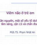 Bài giảng Viêm não ở trẻ em và căn nguyên, một số yếu tố dịch tễ, lâm sàng, cận LS và chẩn đoán - PGS.TS. Phạm Nhật An