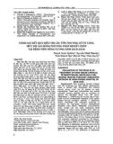 Đánh giá kết quả điều trị các tổn thương cổ tử cung mức độ cao bằng phương pháp khoét chóp tại Bệnh viện Hùng Vương năm 2018-2020