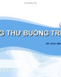 Bài giảng Ung thư buồng trứng - Khúc Minh Thúy