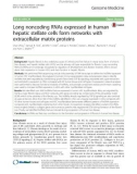 Long noncoding RNAs expressed in human hepatic stellate cells form networks with extracellular matrix proteins