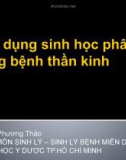 Bài giảng Ứng dụng sinh học phân tử trong bệnh lý thần kinh - Mai Phương Thảo