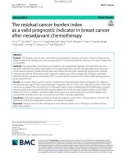 The residual cancer burden index as a valid prognostic indicator in breast cancer after neoadjuvant chemotherapy