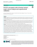 ESCO2's oncogenic role in human tumors: A pan-cancer analysis and experimental validation