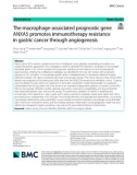 The macrophage-associated prognostic gene ANXA5 promotes immunotherapy resistance in gastric cancer through angiogenesis