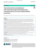 Transarterial chemoembolization with molecular targeted therapies plus camrelizumab for recurrent hepatocellular carcinoma