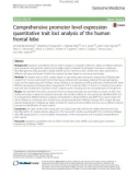 Comprehensive promoter level expression quantitative trait loci analysis of the human frontal lobe