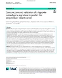 Construction and validation of a hypoxia-related gene signature to predict the prognosis of breast cancer