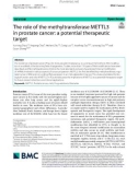 The role of the methyltransferase METTL3 in prostate cancer: A potential therapeutic target