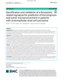 Identification and validation of a ferroptosis-related signature for prediction of the prognosis and tumor microenvironment in patients with chromophobe renal cell carcinoma