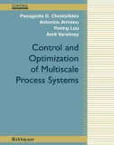 Ebook Control and optimization of multiscale process systems