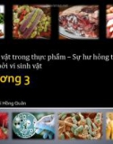 Bài giảng Vi sinh thực phẩm: Chương 3 - TS. Bùi Hồng Quân