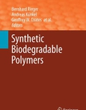 Ebook Synthetic biodegradable polymers (Advances in Polymer science, Volume 245)