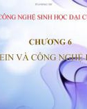 Bài giảng Công nghệ sinh học đại cương: Chương 6 - ThS. Vương Thị Thúy Hằng