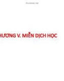 Bài giảng Hóa sinh động vật: Chương 5 - Nguyễn Thị Lệ Quyên