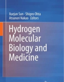 Ebook Hydrogen molecular biology and medicine