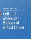 Ebook Cell and molecular biology of breast cancer