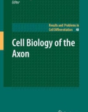 Ebook Cell biology of the axon